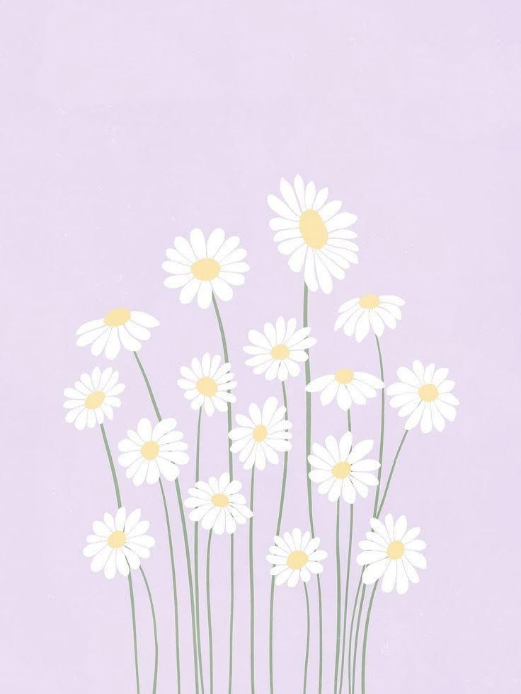 Marguerites